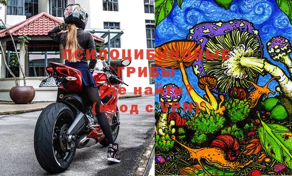метадон Алзамай