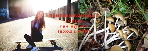 прущие грибы Алексеевка