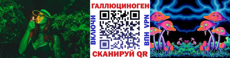 купить закладку  Балашов  Галлюциногенные грибы Cubensis 