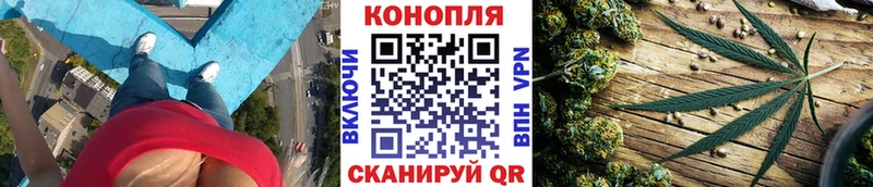 Бошки Шишки семена MEGA рабочий сайт Балашов